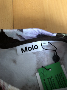 Molo lilleline pusa (2 foto / 2)