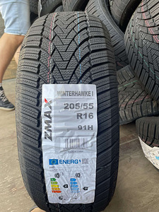 205/55/16 Zmax Winterhawke I 91h шины (1 фото из 1)