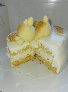 Kook - Raffaello, Oreo, trühvel, Napoleon, Medovik (4 foto / 10)