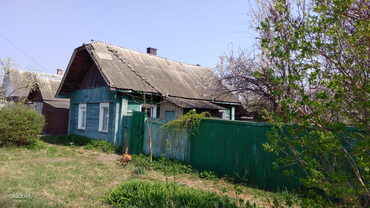 Купить Дом В Корме Гомельской Области