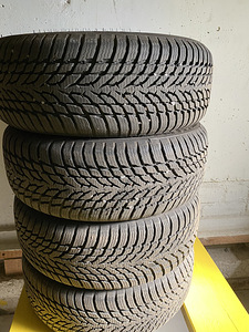 Talverehvid r16 (1 foto / 3)
