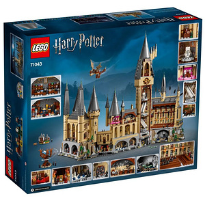 Lego Harry Potter 71043 Hogwarts Castle Sigatüüka loss (4 foto / 10)