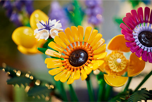 Lego Botanical Collection 10313 Wildflower Bouquet Lego (10 foto / 10)