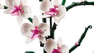Lego Botanical 10311 Orhidee lill Lego Orhidee lilled (6 foto / 10)