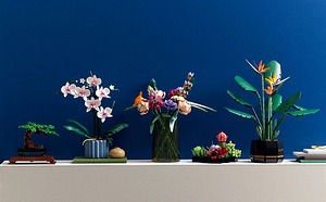 Lego Botanical 10311 Orhidee lill Lego Orhidee lilled (10 foto / 10)