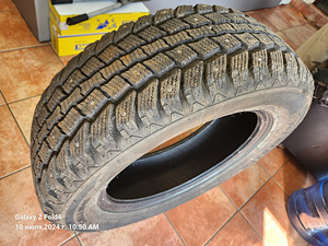 Muua talverehvid (3 foto / 3)