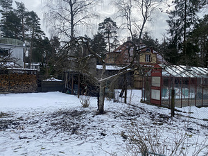 Стрижка яблонь (8 фото из 9)
