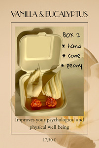 NEW soy candle boxes (2 foto / 2)
