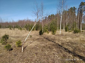 Kraavikalda, Haaslava, Kastre vald, Tartumaa (6 foto / 6)