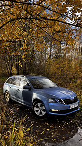 Skoda Octavia (2 фото из 8)