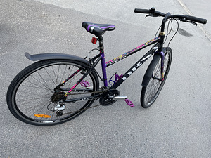 Naiste jalgratas DBS LOGIC 314. (8 foto / 9)