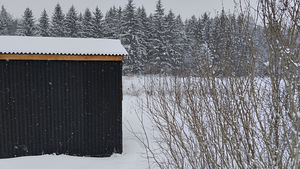 Põhja tn, Kukruse, Kohtla-Järve, Ida-Virumaa (2 foto / 6)