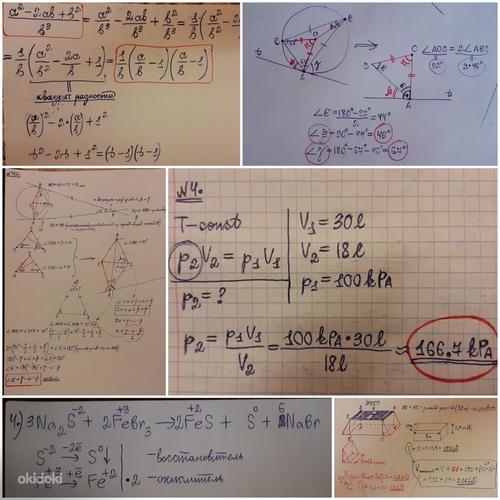 Keemia ning matemaatika eratunnid (foto #2)