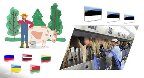 Pakkuda tööd piimafarmis Eestis (foto #1)