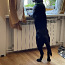 Labrador otsib pruuti) (foto #1)