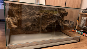 Terraarium 100x50x50 (6 foto / 8)