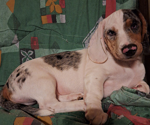 Taksi poiss (6 foto / 9)