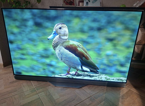 Дефектный телевизор LG OLED55E7N-Z (2 фото из 7)