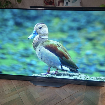 Дефектный телевизор LG OLED55E7N-Z