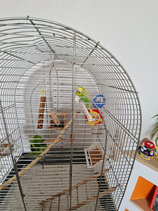 Viirpapagoi (1 foto / 2)