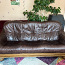 Дубовый кожаный диван (фото #1)