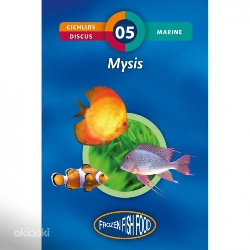 Замороженные корма для аквариумных рыб Mysis (фото #1)