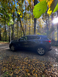 Kia Sportage (kehtib tehasegarantii) (5 foto / 12)