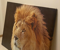 Изображение льва