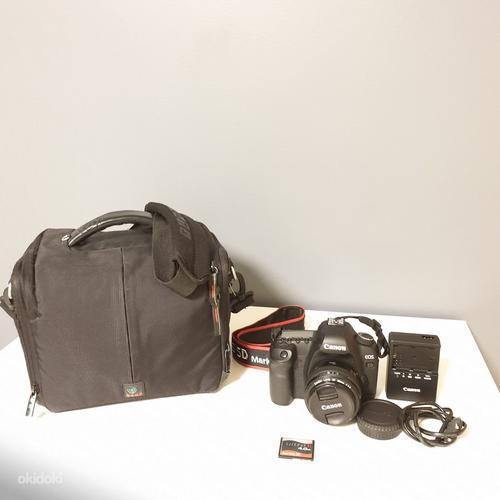 Canon EOS 5D Mark II + Canon EF 50mm f/1.4 (фото #6)