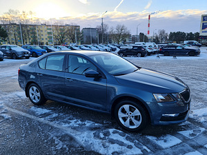 Skoda Octavia LPG 1.0 tsi Aut (4 фото из 9)