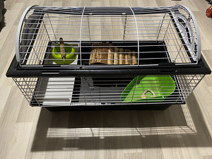 Puur asjadega / Cage with things (1 foto / 4)