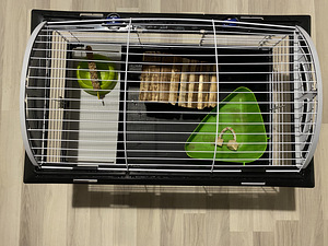 Puur asjadega / Cage with things (2 foto / 4)