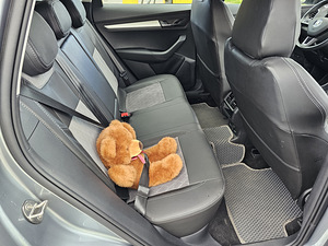 Skoda Karoq 2019 (5 foto / 10)