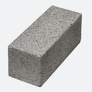 Müürsepp