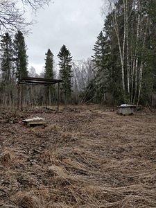 Ussitatra, Pikavere, Raasiku vald, Harjumaa (3 фото из 12)