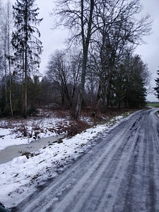 Ussitatra, Pikavere, Raasiku vald, Harjumaa (7 фото из 12)