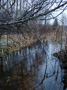 Ussitatra, Pikavere, Raasiku vald, Harjumaa (11 фото из 12)