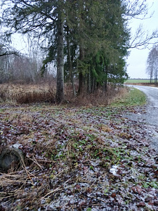 Ussitatra, Pikavere, Raasiku vald, Harjumaa (9 фото из 12)
