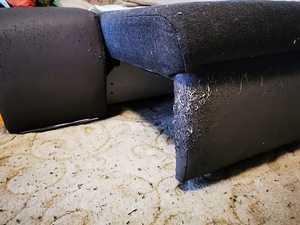 Ära anda tasuta diivan (4 foto / 4)