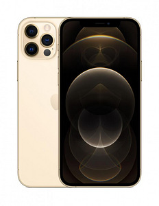 iPhone 12 Pro Max 256Gb Gold väga heas seissukorras (1 foto / 1)