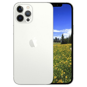 iPhone 12 Pro Max 128GB Silver (1 foto / 1)