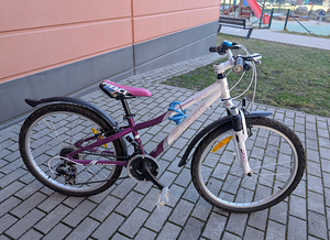 Classic Primadonna jalgratas. 24" (1 foto / 7)