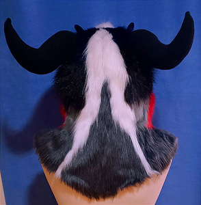 Karusnaha draakon. Fursuit Dragon (6 foto / 7)