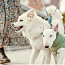 Hurtta Razzle-Dazzle Midlayer Jacket for Dogs S/30 CM (foto #1)