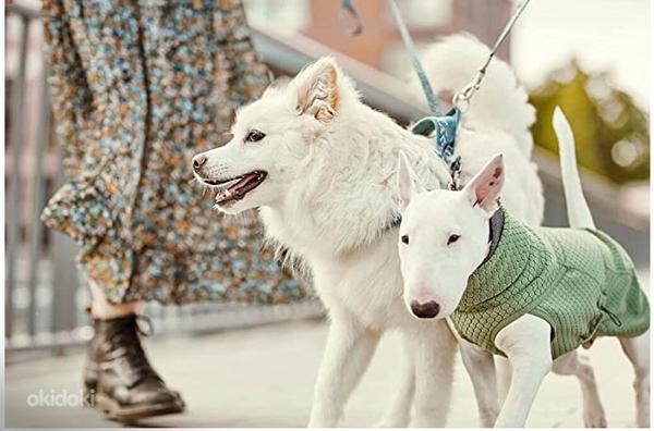 Greyhound Razzle-Dazzle Midlayer Jacket for Dogs S/30 CM (фото #1)