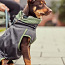 Greyhound Razzle-Dazzle Midlayer Jacket for Dogs S/30 CM (фото #3)