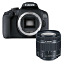 Canon EOS 2000D Kit 18-55 IS STM / EF-S 18-200mm IS (foto #1)