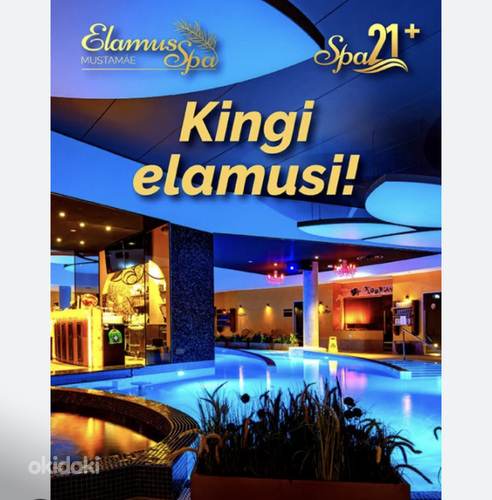 Билет Elamus Spa 21+ (фото #1)