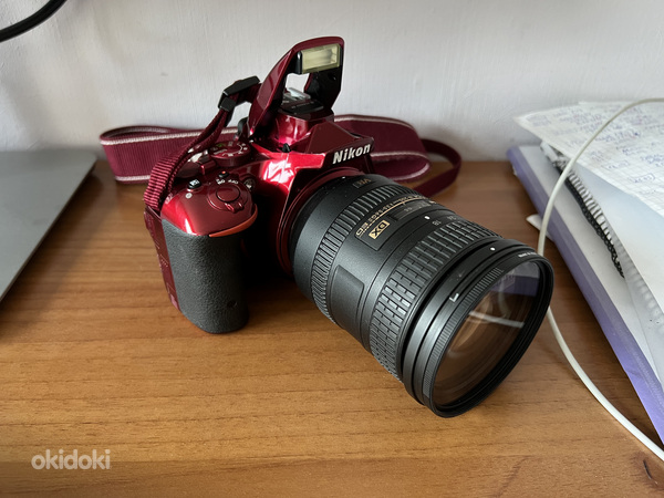 Nikon d5500 + Nikon AF-S DX VR Zoom-Nikkor 18-200mm f/ 3.5-5 (foto #2)