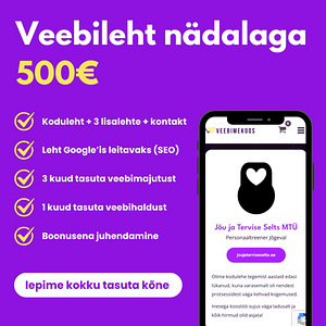 VEEBILEHE LOOMINE MITME LEHEGA + SEO + JUHENDAMINE